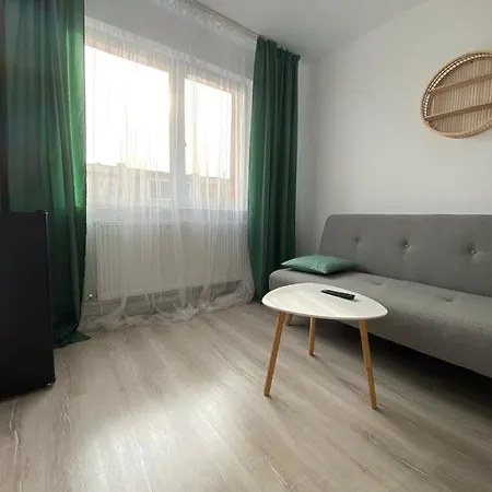 Florilor House Braşov